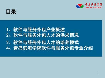 软件服务外包